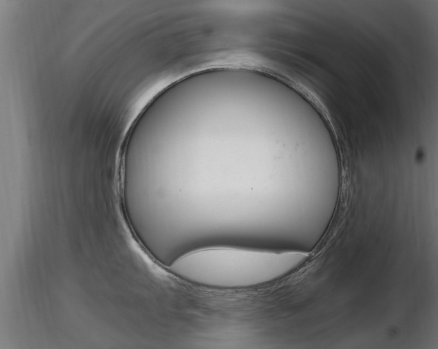 X0000116461103200912090921