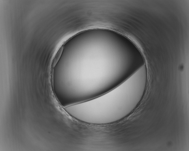 X0000116461104200912090921