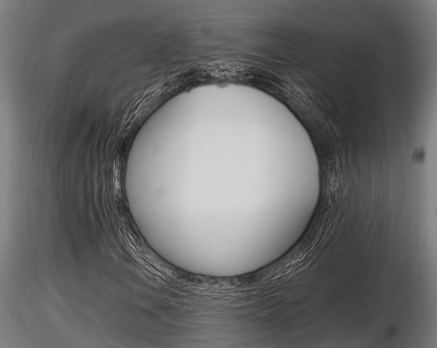 X0000116461106200912090921