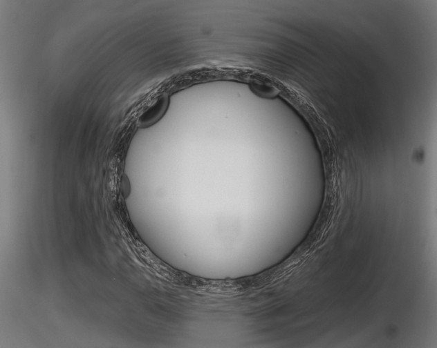 X0000116461110200912090921