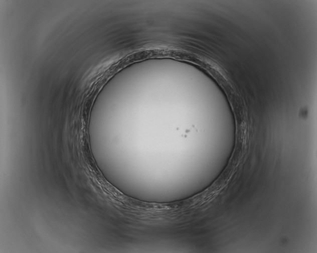 X0000116461111200912090921