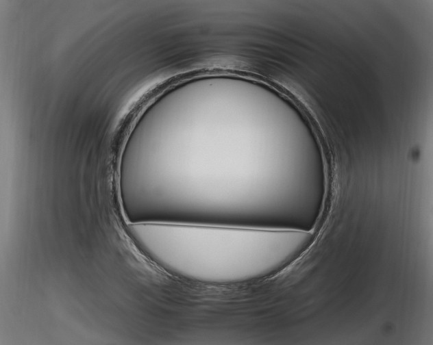 X0000116461115200912090921