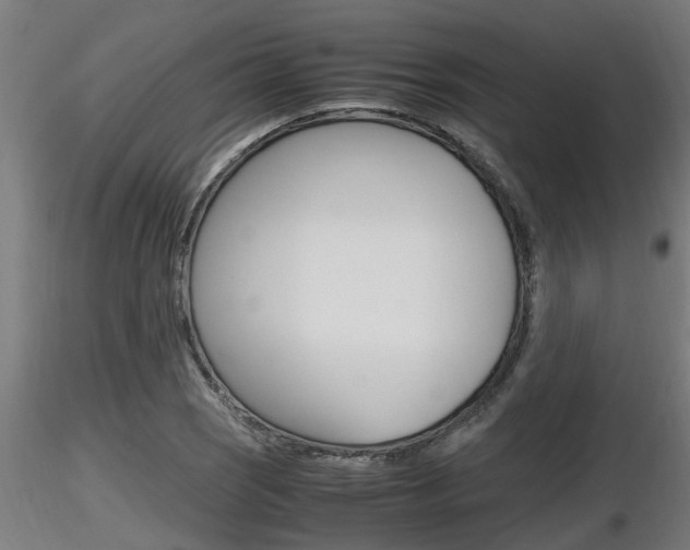 X0000116461121200912090921