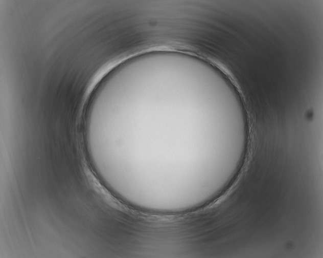 X0000116461122200912090921
