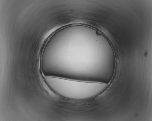 X0000116461127200912090921