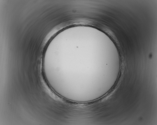 X0000116461130200912090921