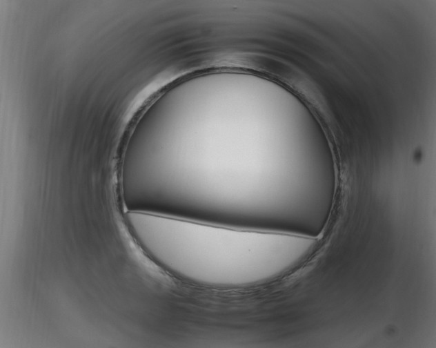 X0000116461133200912090921