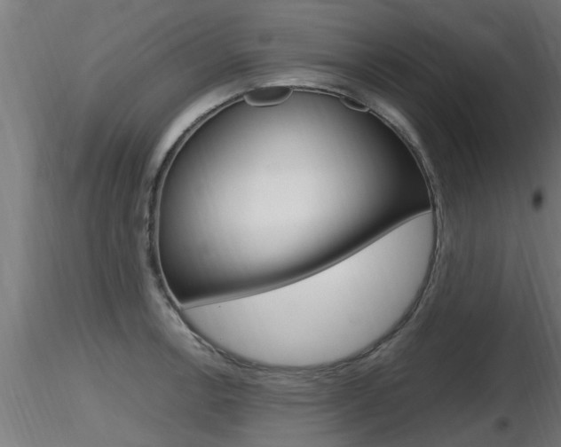 X0000116461138200912090921