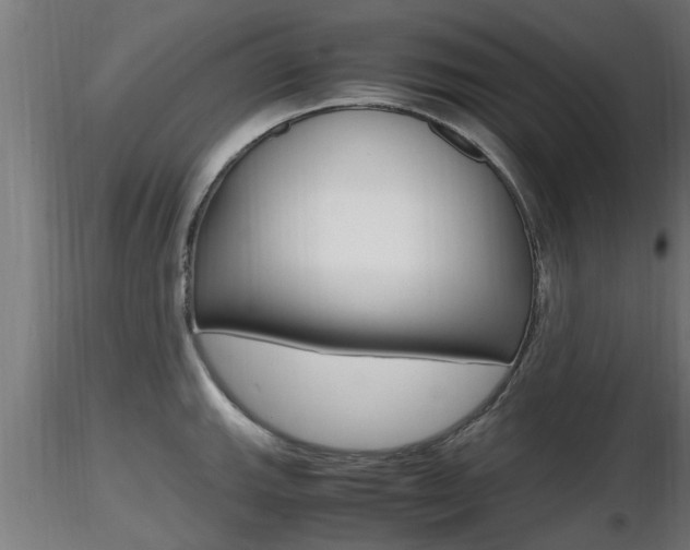X0000116461143200912090921