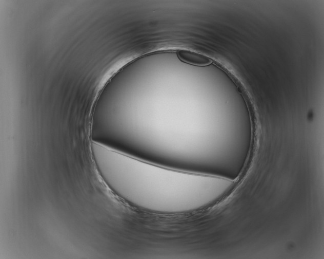 X0000116461145200912090921