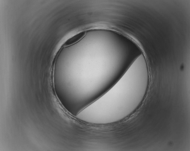 X0000116461146200912090921