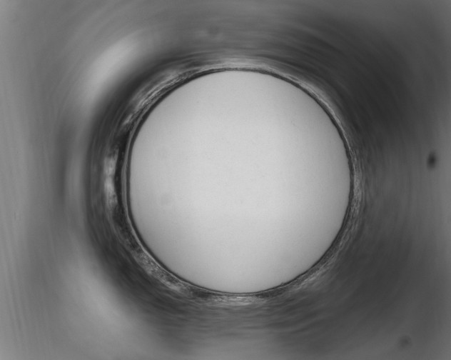 X0000116461150200912090921