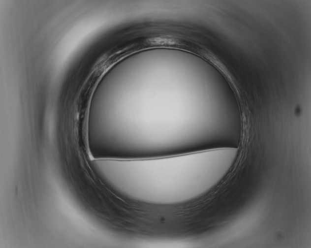 X0000116461151200912090921