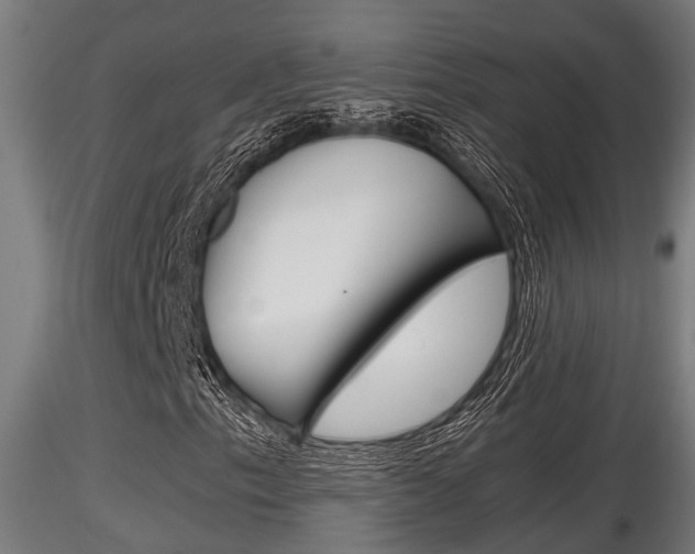 X0000116461153200912090921