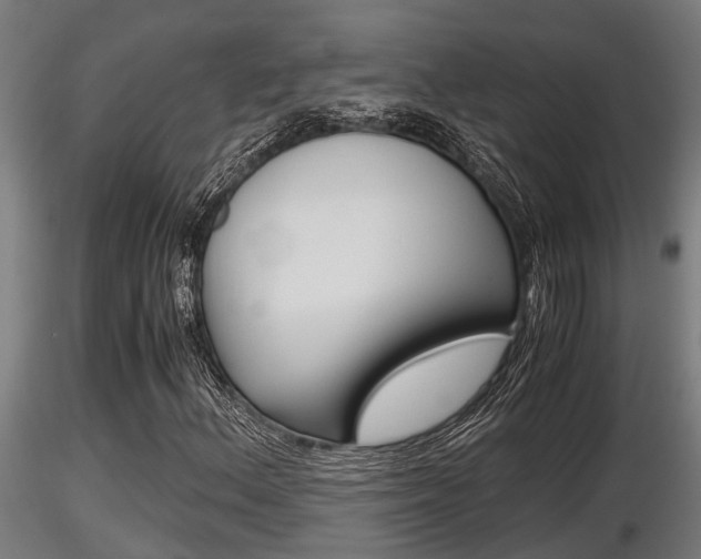 X0000116461156200912090920