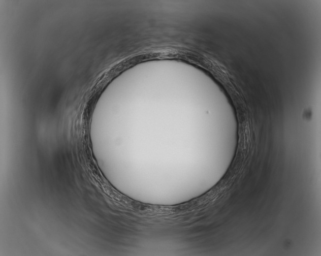 X0000116461158200912090920