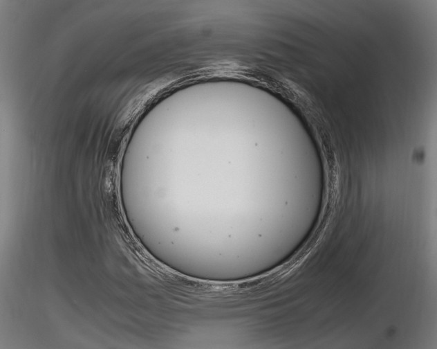 X0000116461161200912090920