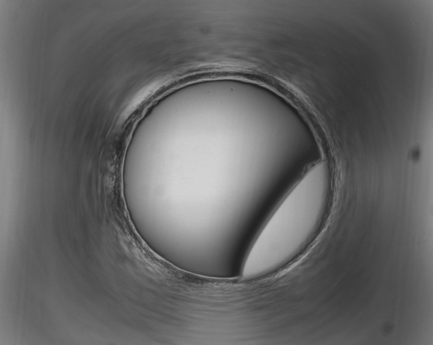 X0000116461163200912090920