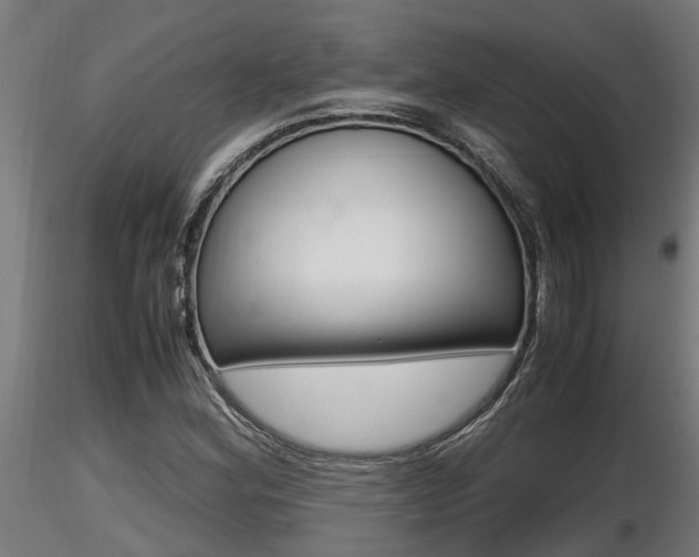 X0000116461164200912090920