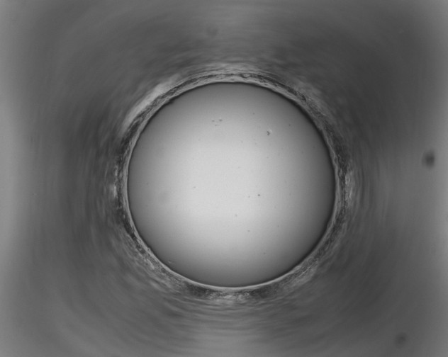 X0000116461165200912090920