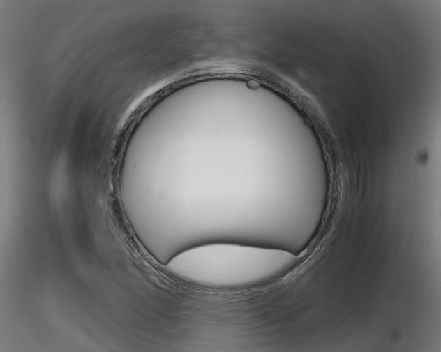 X0000116461166200912090920