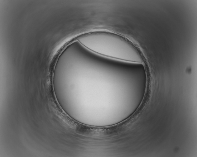 X0000116461167200912090920
