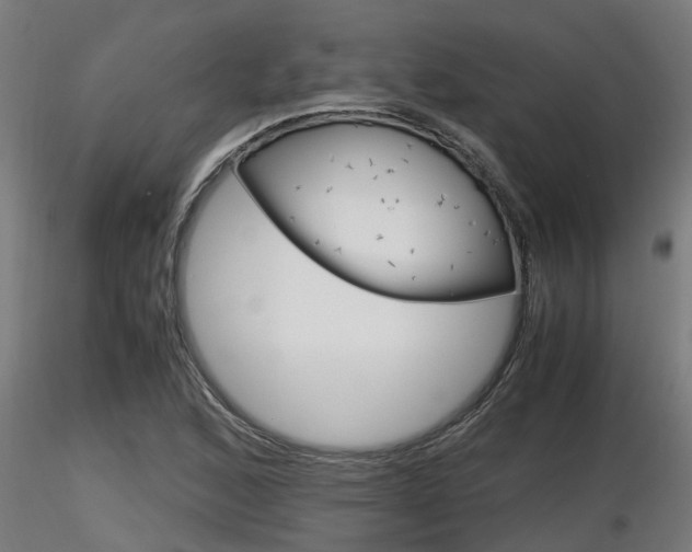 X0000116461168200912090920