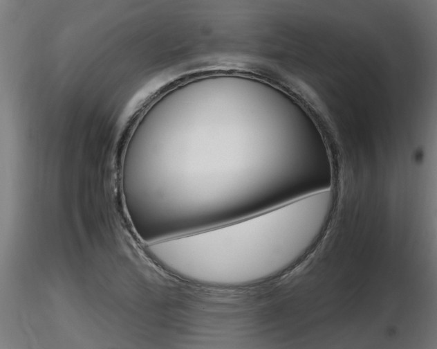 X0000116461172200912090920