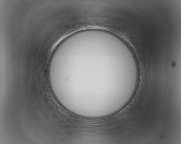 X0000116461173200912090920
