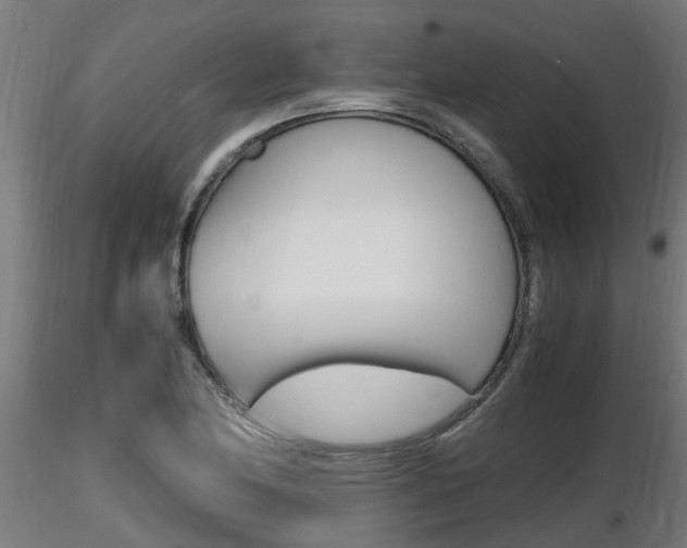 X0000116461174200912090920
