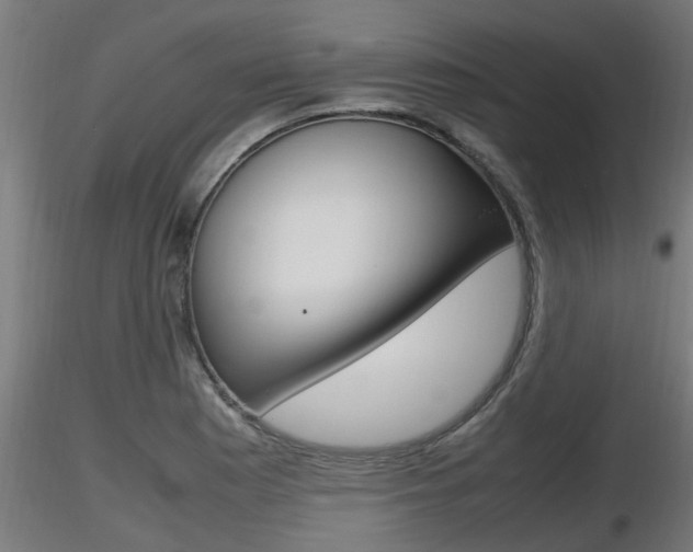 X0000116461177200912090920