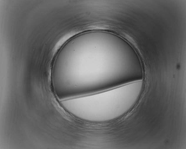 X0000116461179200912090920