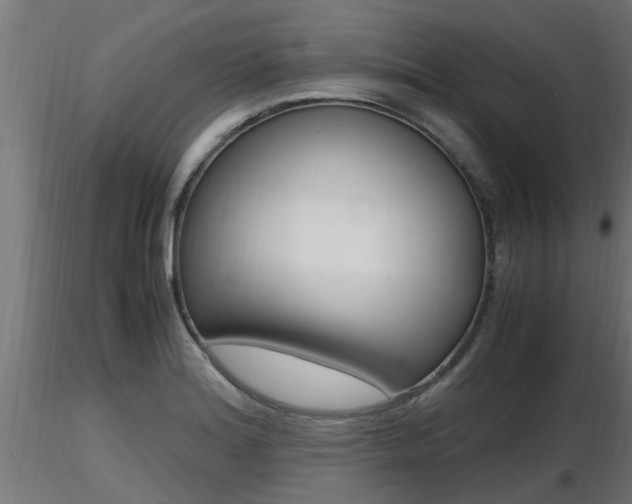 X0000116461180200912090920