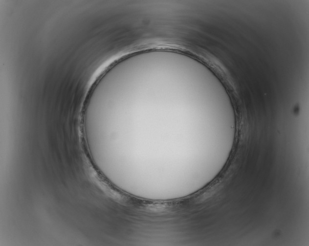 X0000116461182200912090920
