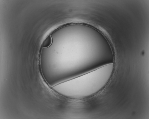X0000116461183200912090920