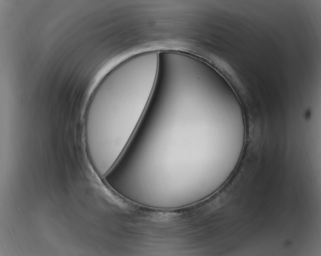 X0000116461184200912090920