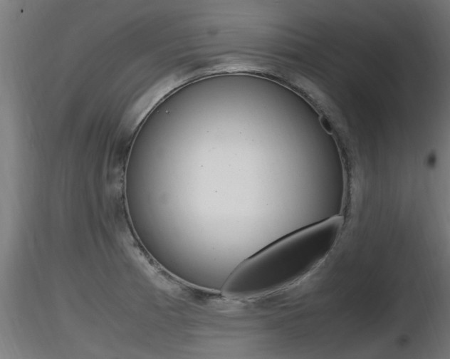 X0000116461185200912090920