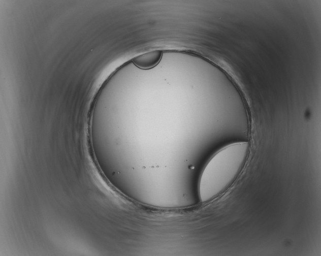 X0000116461187200912090920