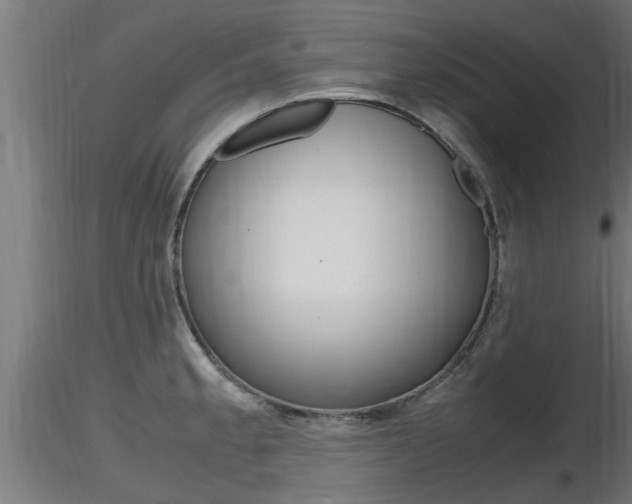 X0000116461189200912090920