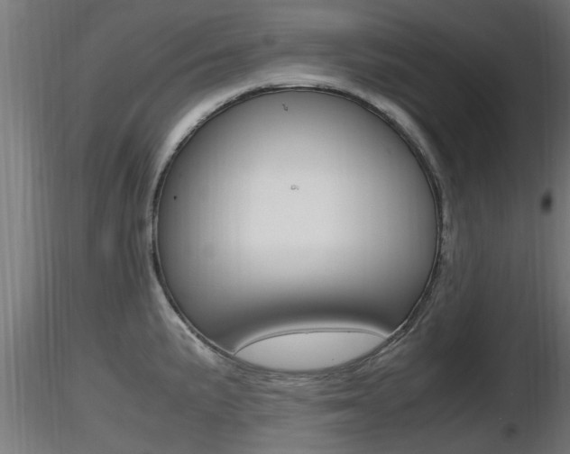 X0000116461191200912090920