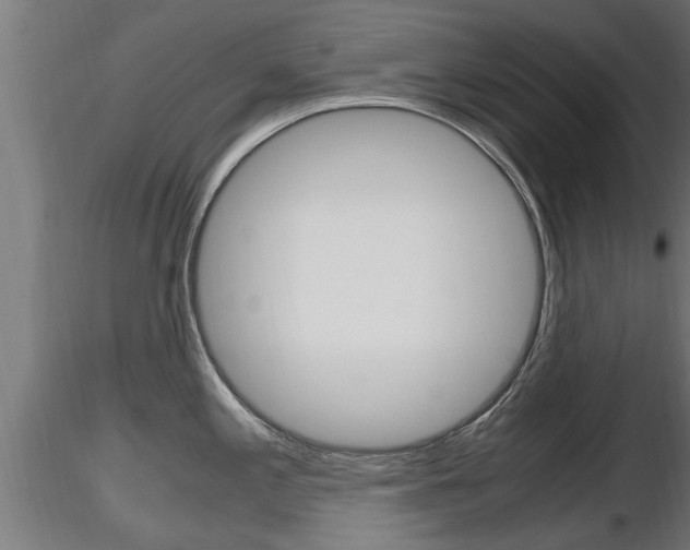 X0000116461197200912090920