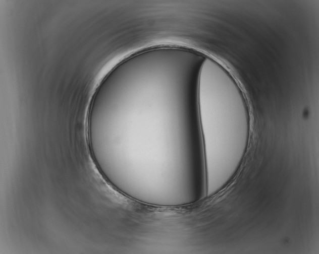 X0000116461199200912090920