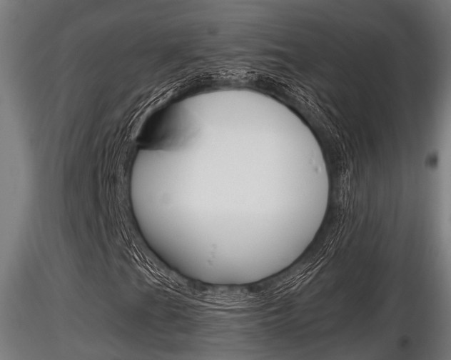 X0000116461201200912090919