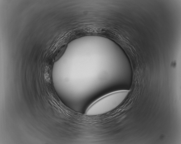 X0000116461202200912090919
