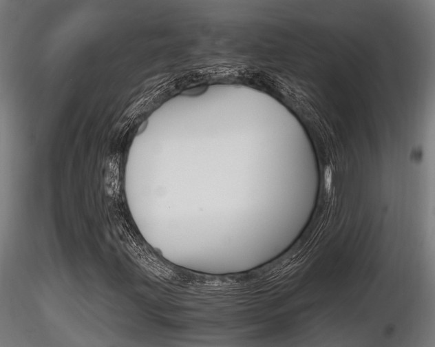X0000116461203200912090919