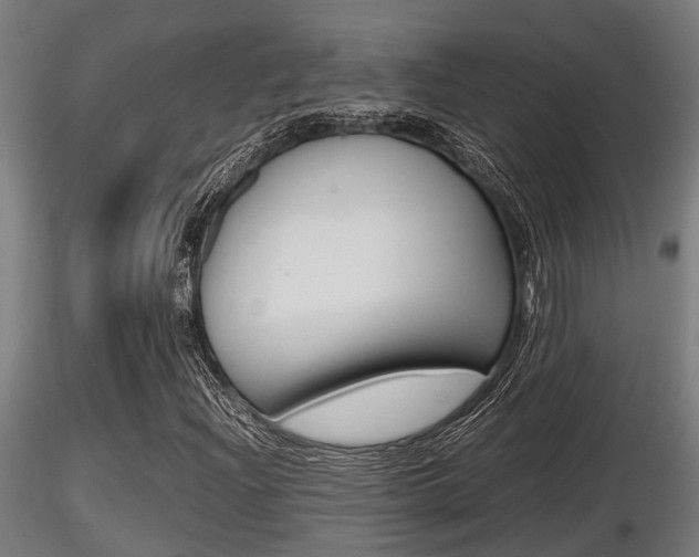 X0000116461204200912090919