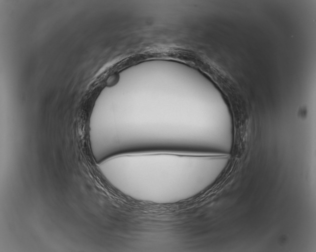 X0000116461206200912090919