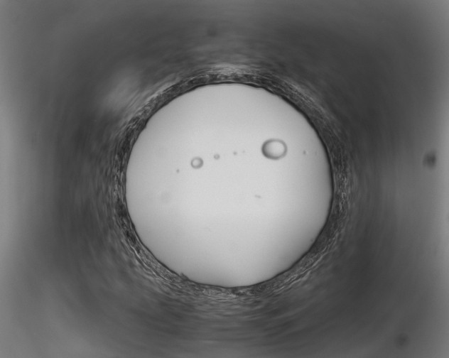 X0000116461207200912090919
