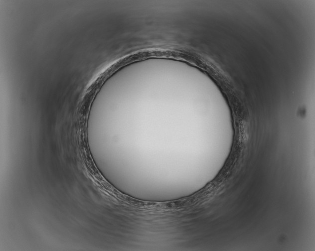 X0000116461208200912090919