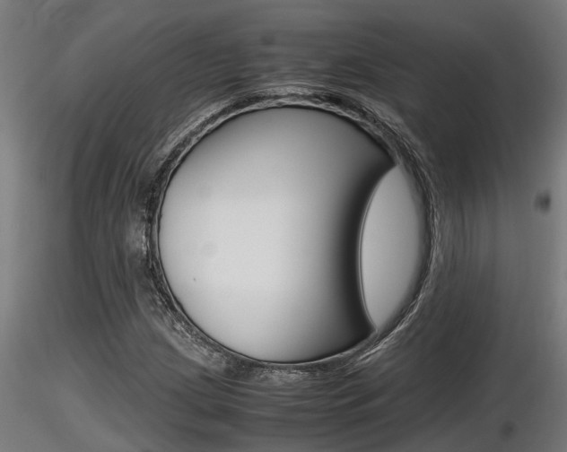 X0000116461209200912090919